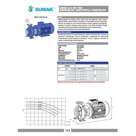 SMT160/80 M 18,5 KW EN 733 MONOBLOK SANTRİFÜJ POMPA